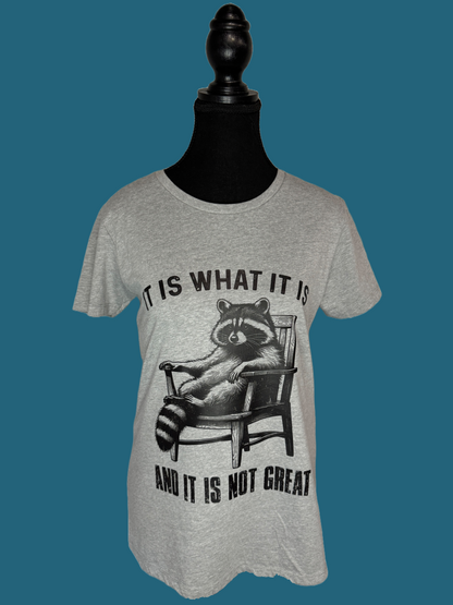 It Is What It Is Ladies T-shirt